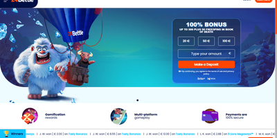 24Bettle site preview