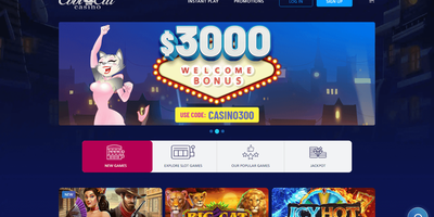 Cool Cat site preview