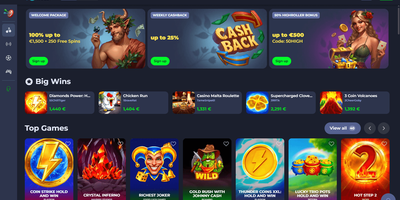 Fridayroll site preview