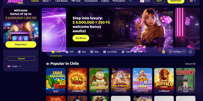 Maggico site preview