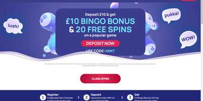 MintBingo site preview