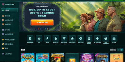 PlayiO site preview