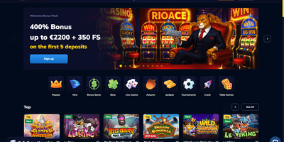 RioAce site preview