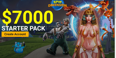 Spin Dimension site preview