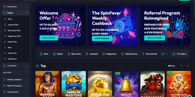 Spin Fever site preview