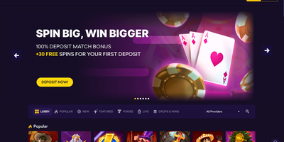 SpinBit site preview