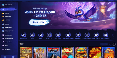Spinight site preview