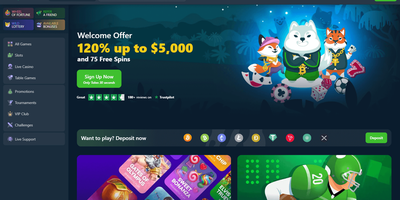 Wild.io site preview