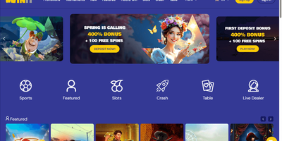 Winit site preview