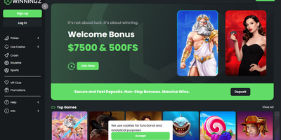 Winningz site preview