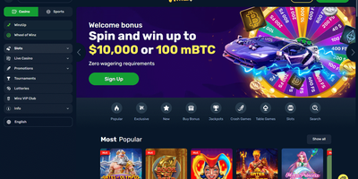 Winz site preview
